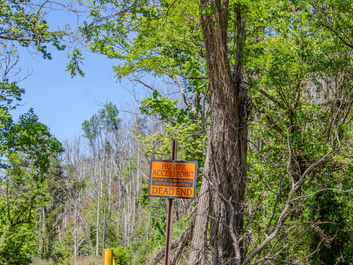 RBW7  photo 5