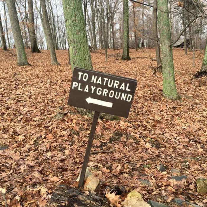 Near Gambrill State Park Loop