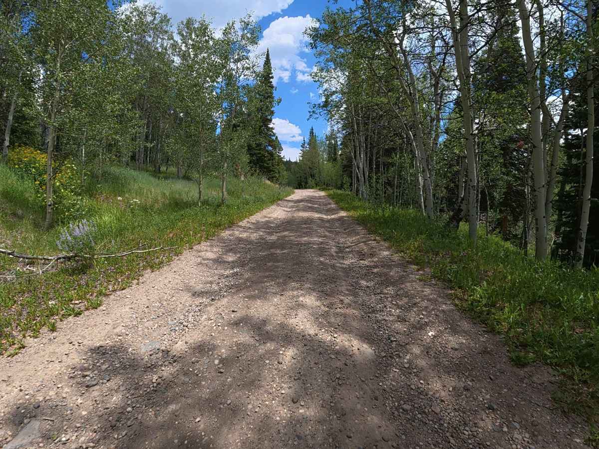 County Road 216 photo 6