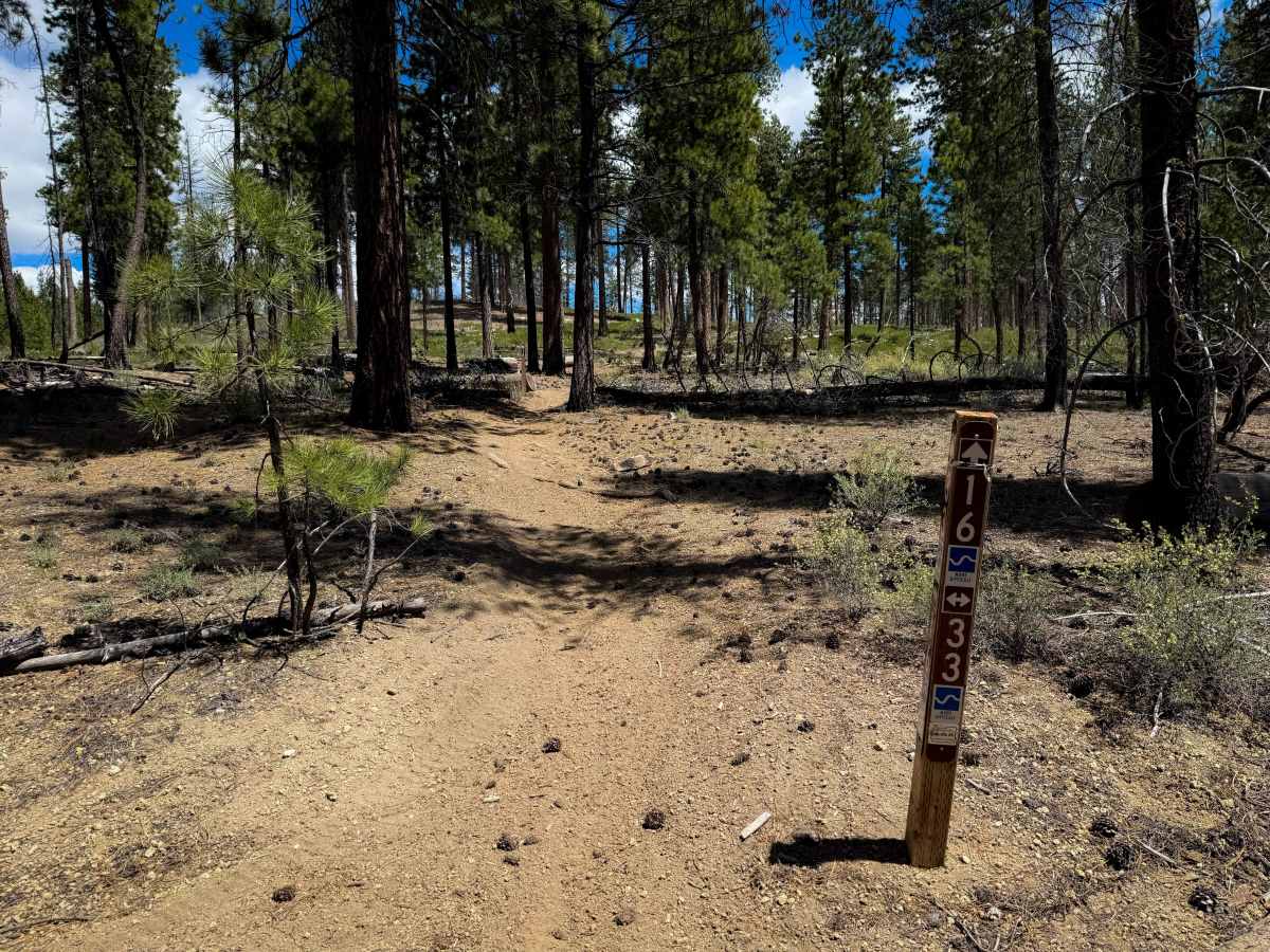 Trail 16  photo 3
