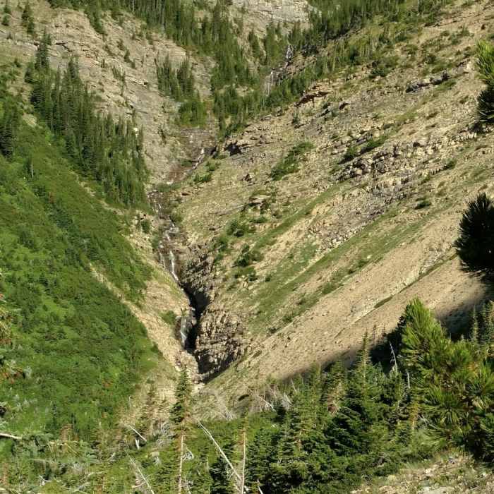 Near Goat Lake Trail
