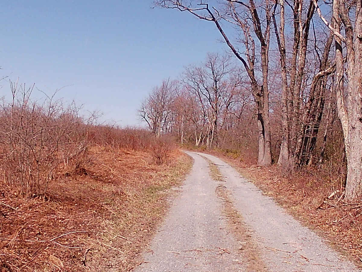 Rock Run Lane photo 2