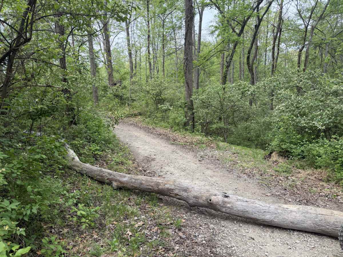 Hanging Rock Trail photo 3