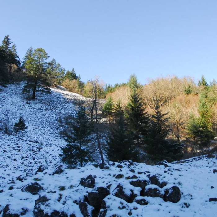 Near Spirit Falls Hike