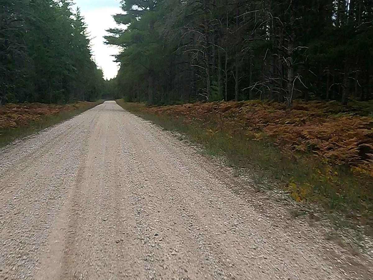 West Wilwin Road/ West Camp 2 Truck Trail - FS 3145 photo 6