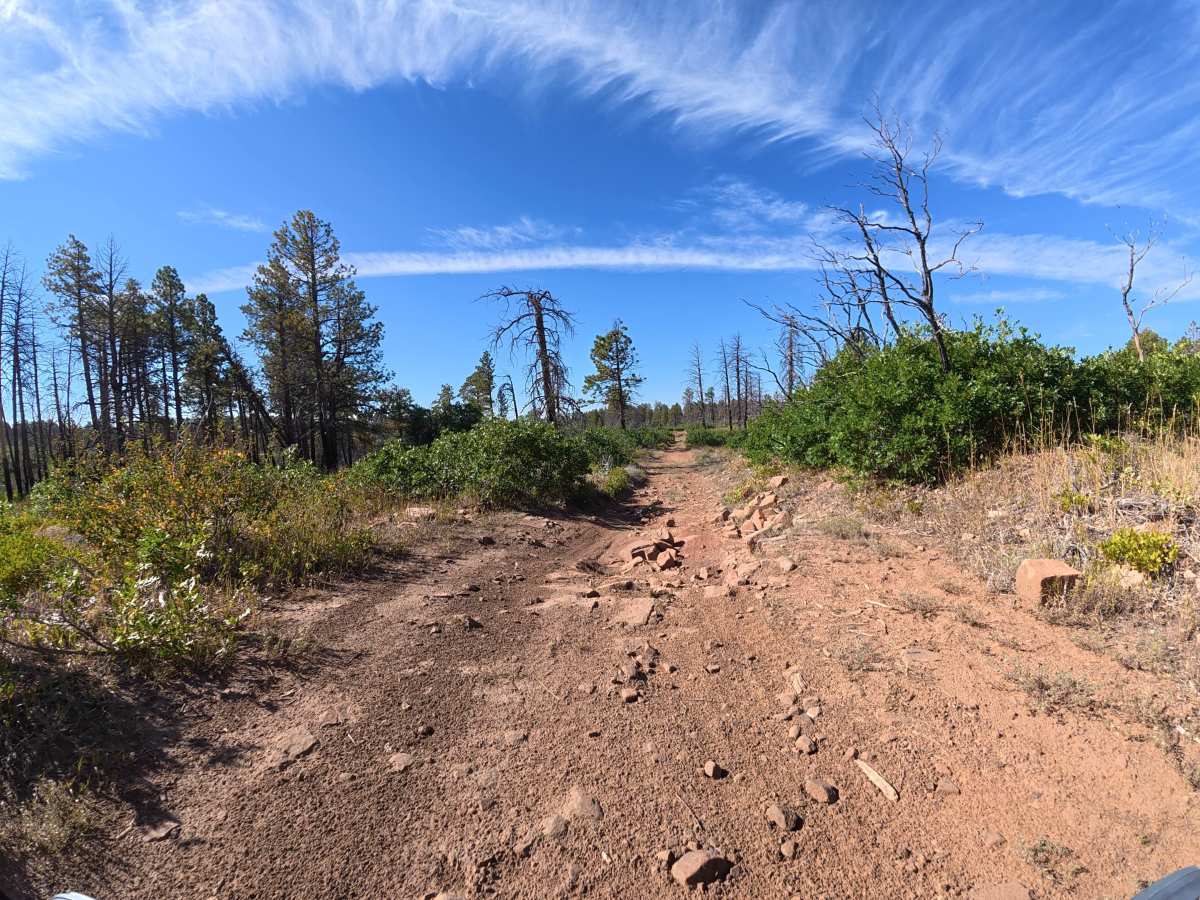 West Mesa Creek Road photo 3