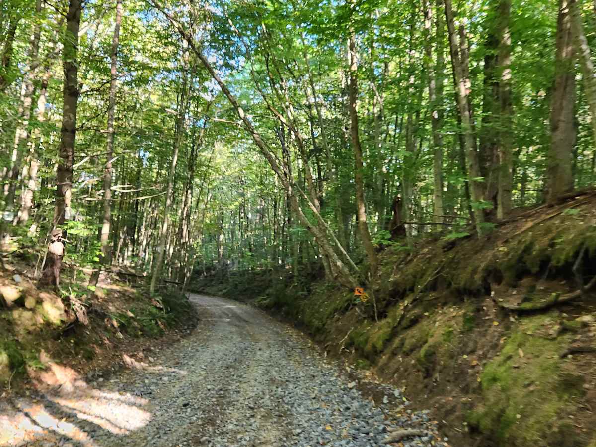 Military Road photo 3