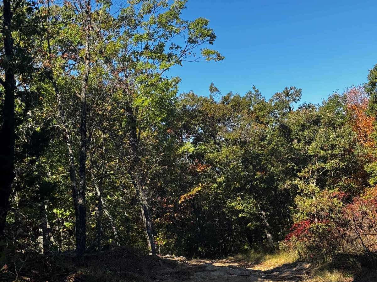 Eastern Landing photo 2