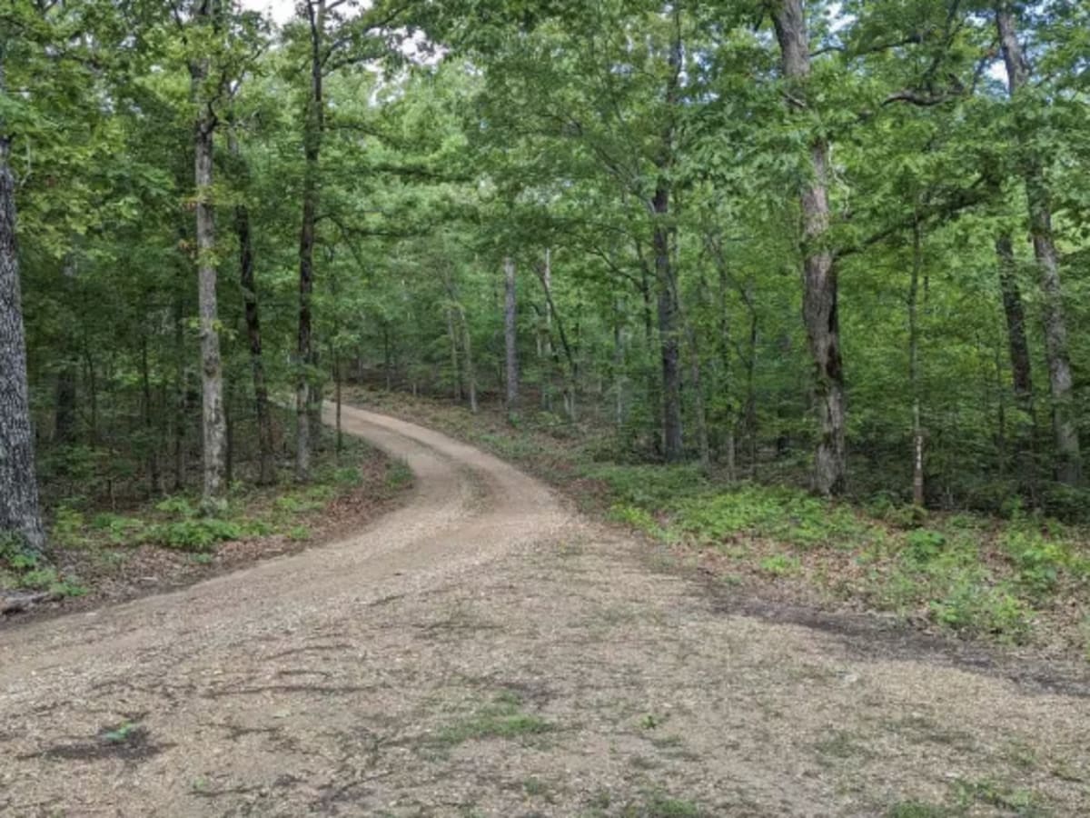 West Brown's Hollow photo 5
