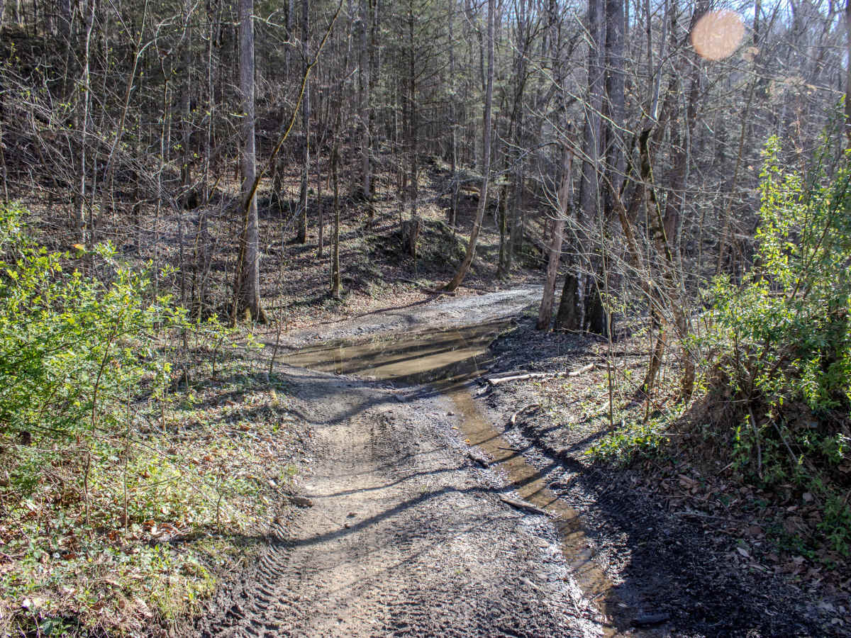 Log Road 1  photo 6