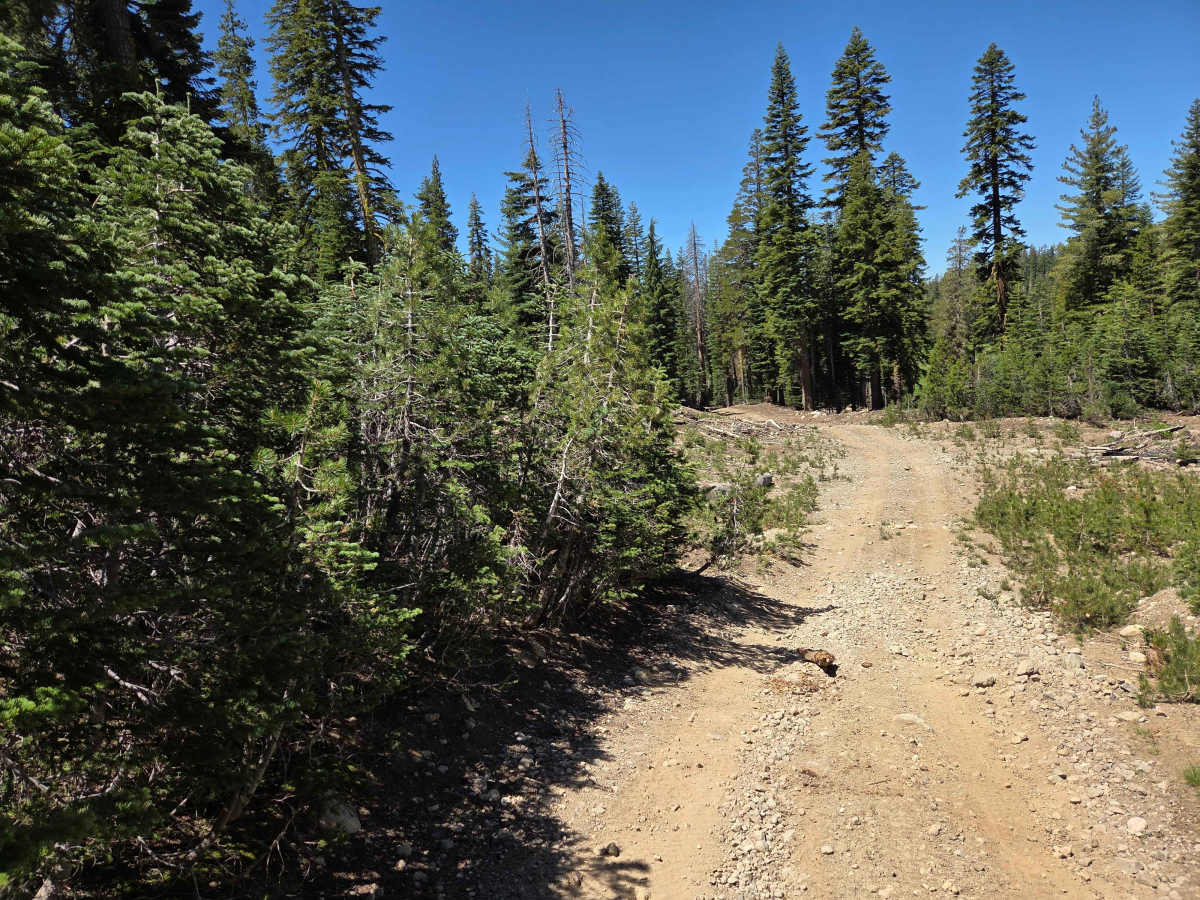Bear Valley Loop photo 4