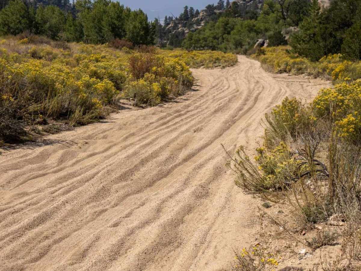 Arnold Gulch photo 4