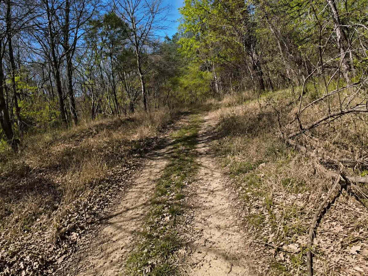 Ark Island Trail photo 3