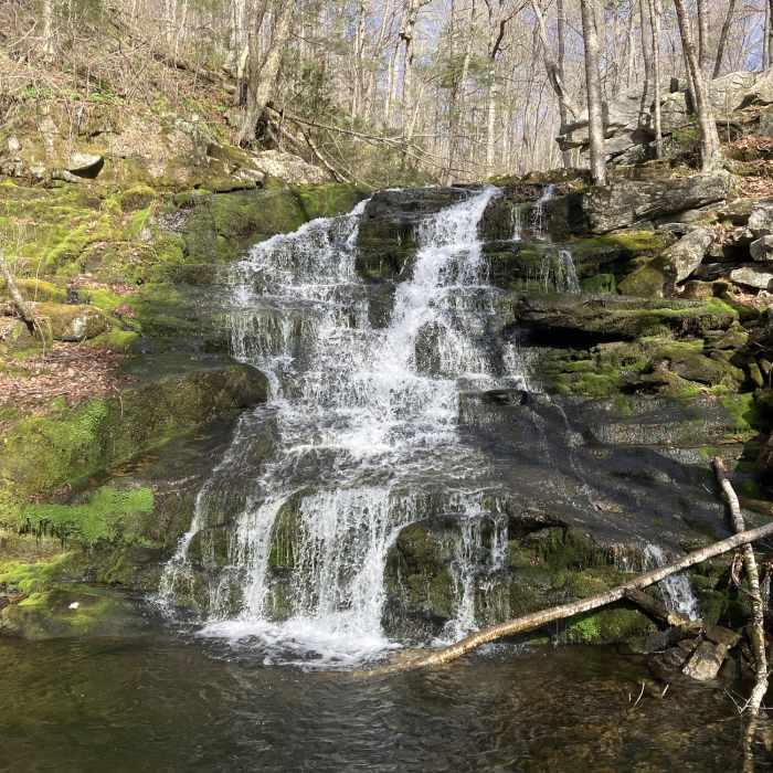 Near Falls Brook Trail
