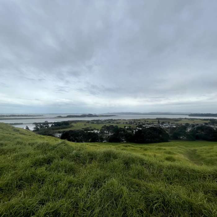 Near Mangere Mountain