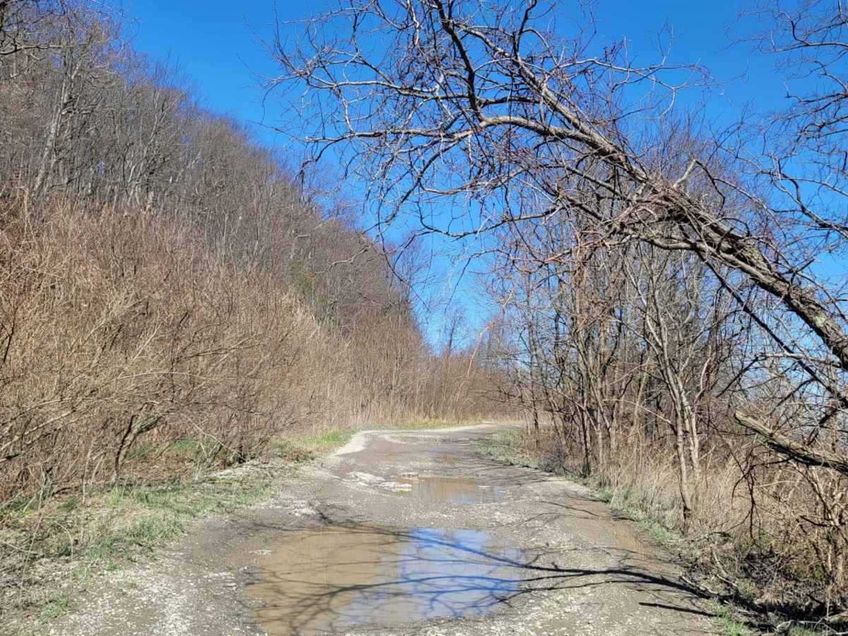 G7 - New River photo 3