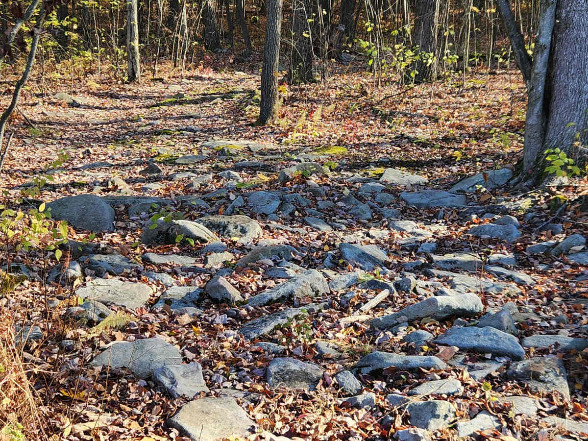 OHV 1 - Rock Run Recreation Area photo 4