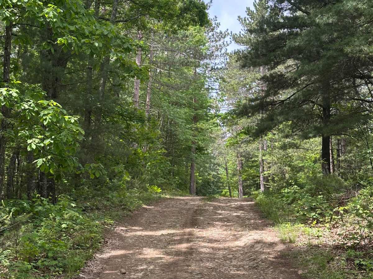 Reddish Spur  trail photo