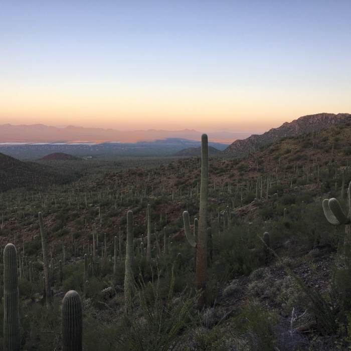 Near Sendero Esperanza