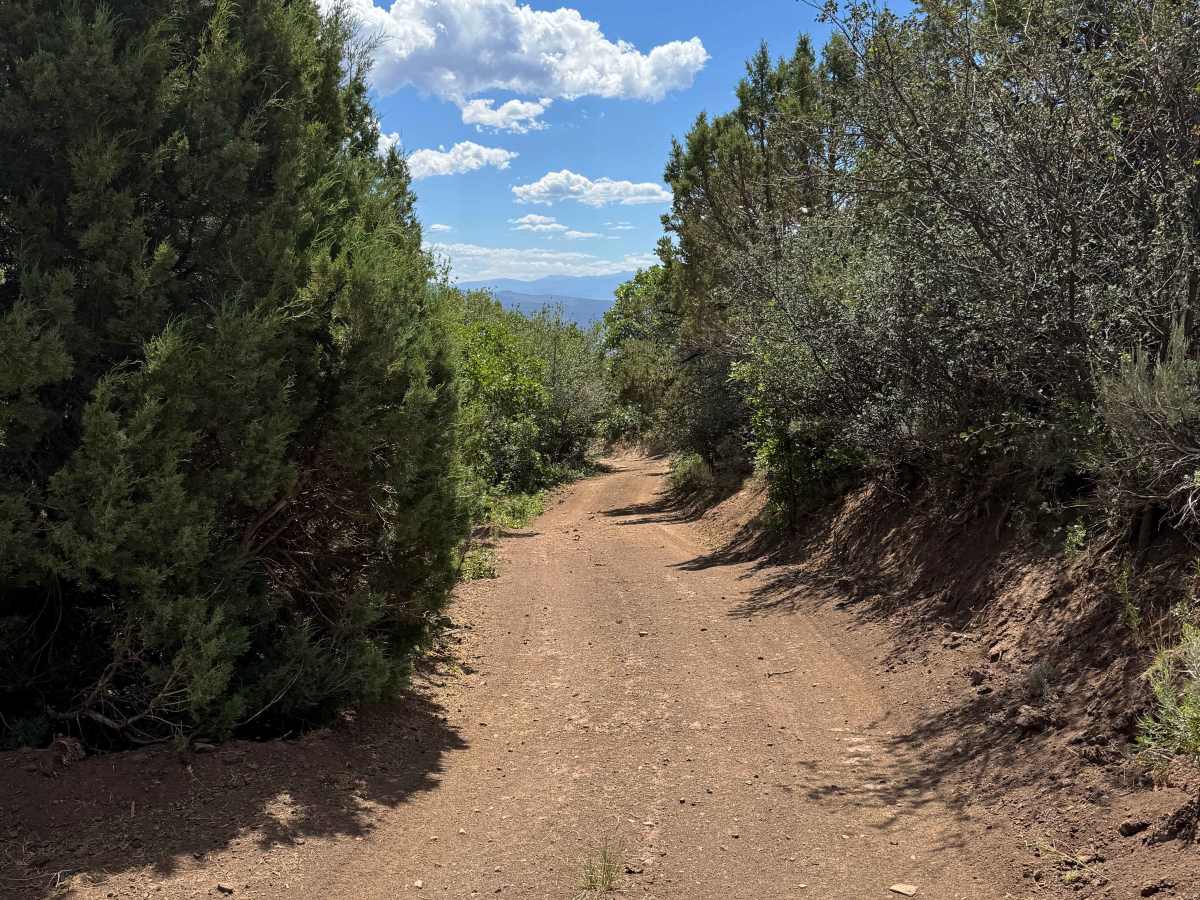 BLM 8455 photo 2