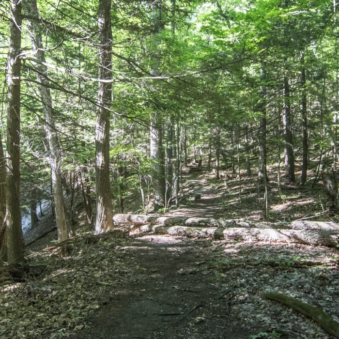 Near Sunset Rock Near Sunset Rock