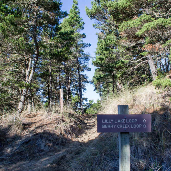 Near Lily Lake Trail
