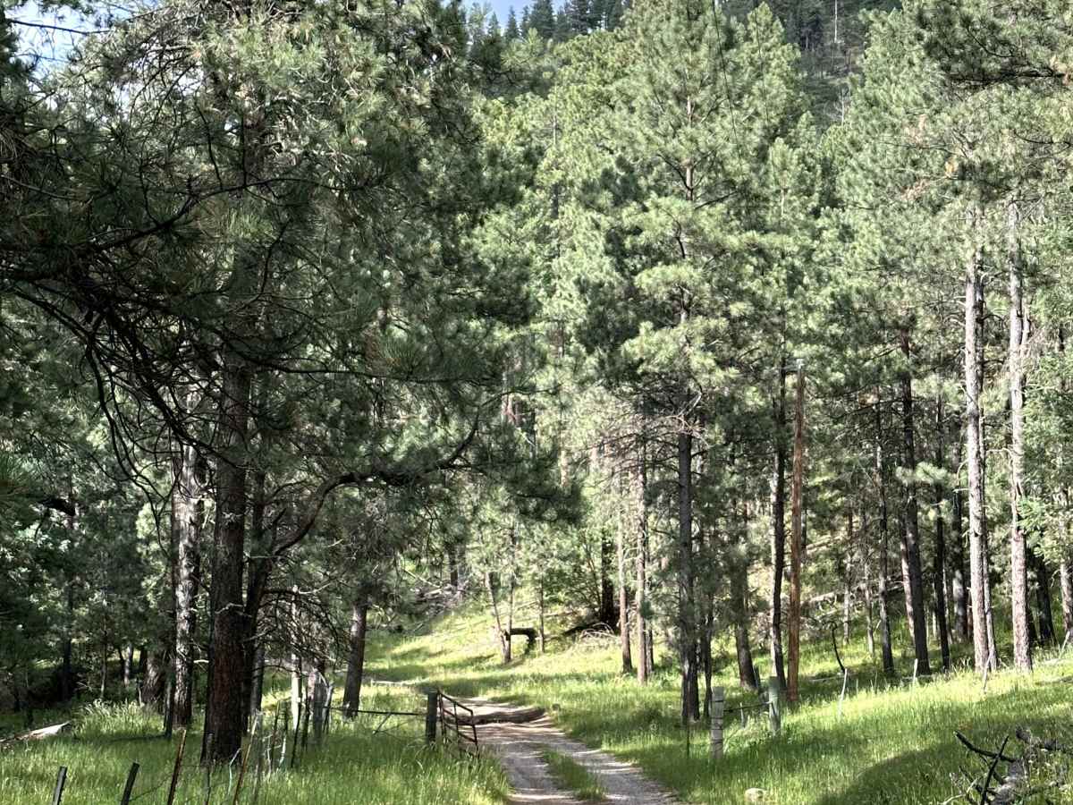 Agua Chiquita Ridge photo 2