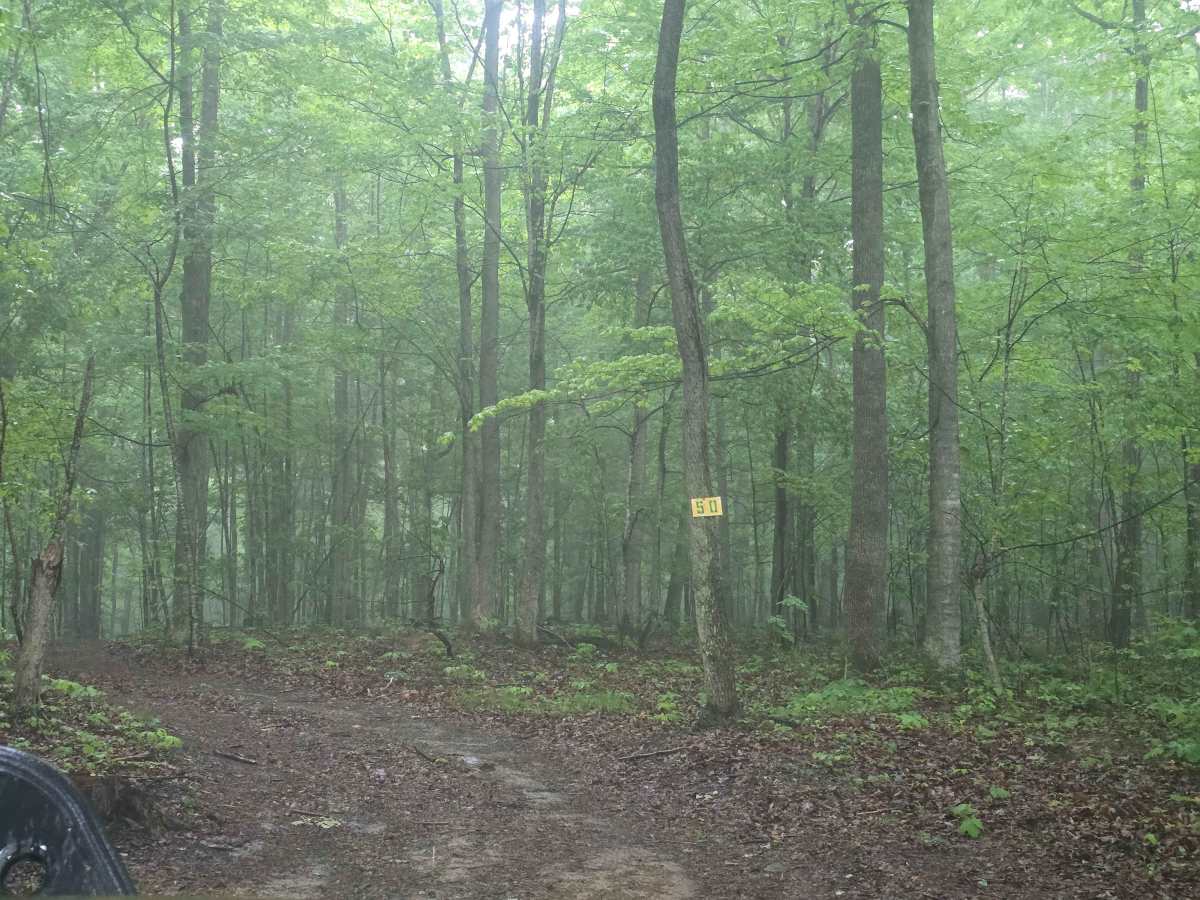Trail 50 trail photo