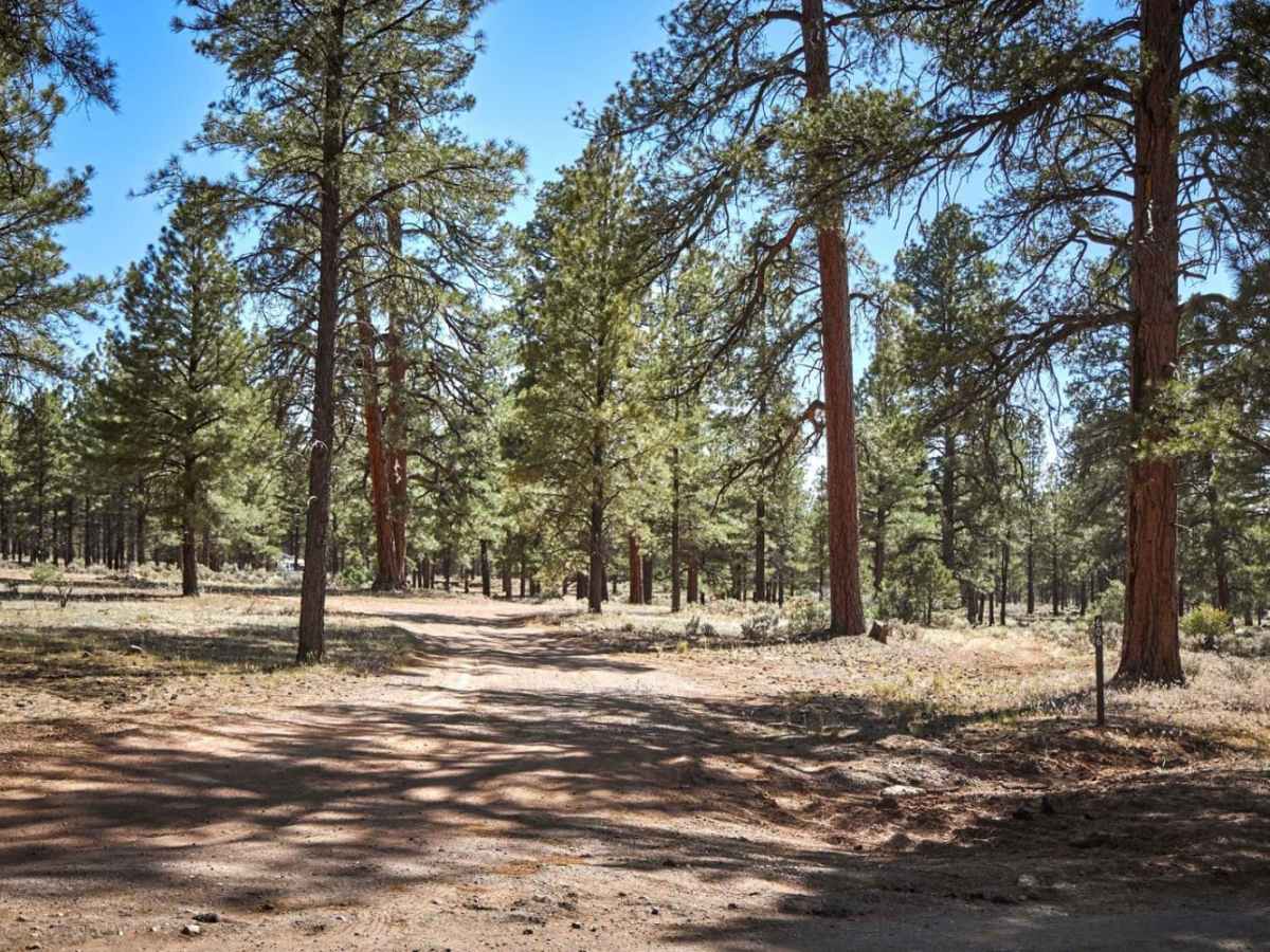 FR 606 trail photo
