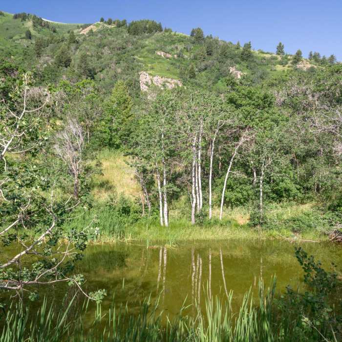 Near Coldwater Canyon