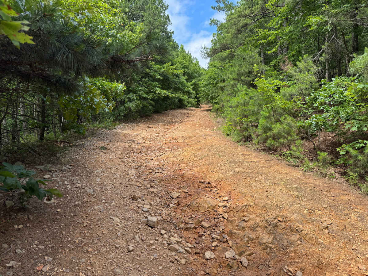 Buck Knob photo 2