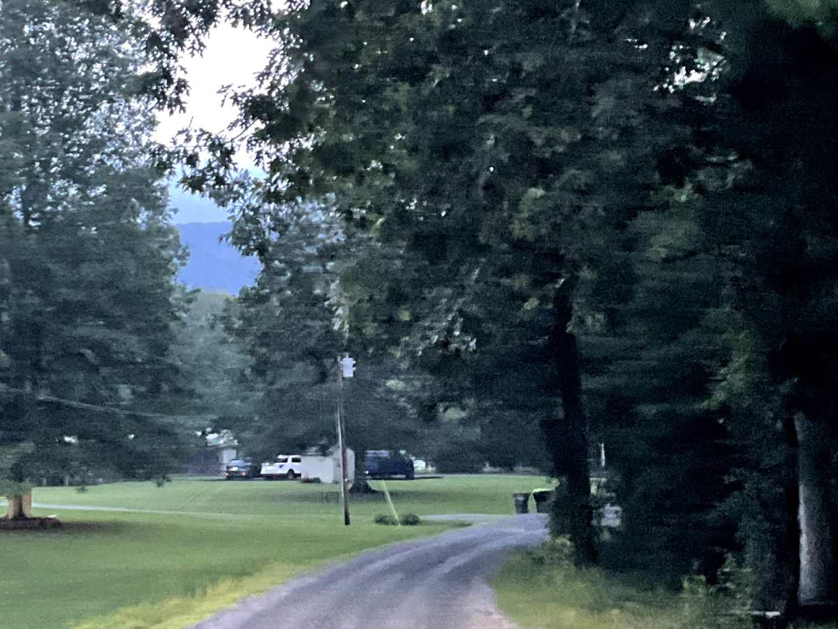 Locust Bottom trail photo