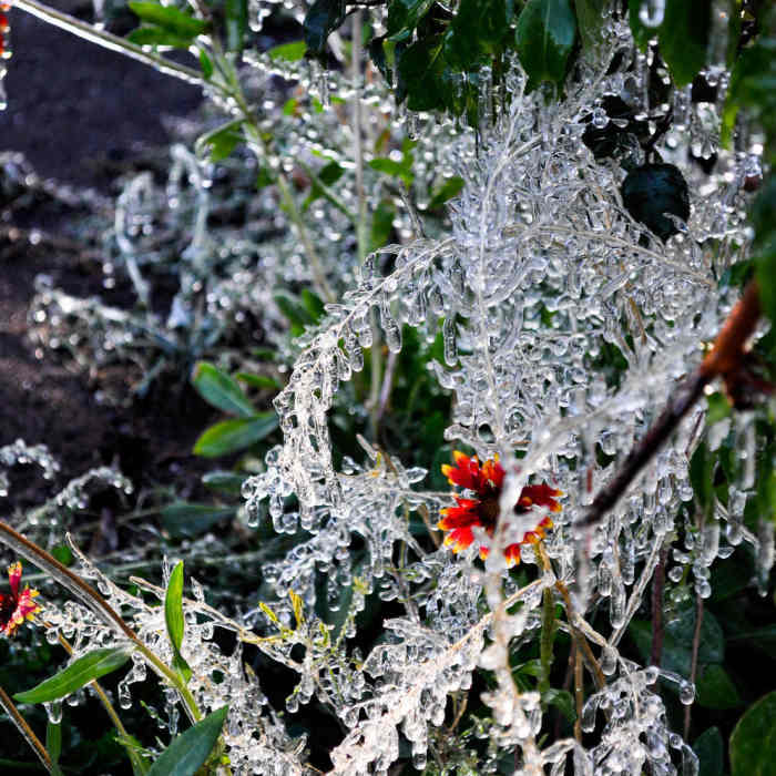 Near Oregon Desert Trail (Seg. 3): Gibson Flat to Lost Forest