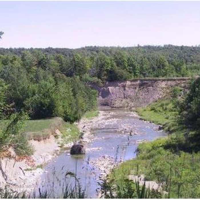 Looking out over the Big Head River Near Trout Hollow Trail