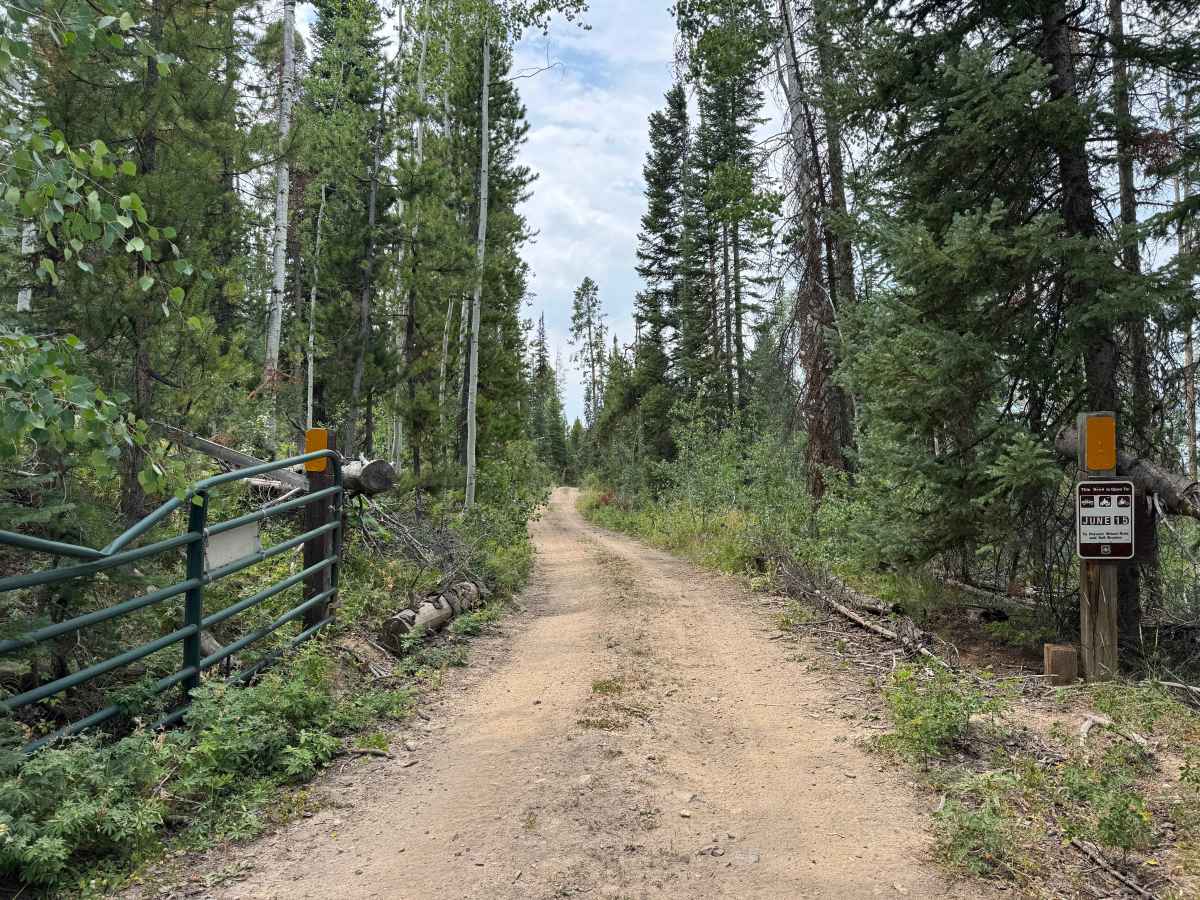 Upper Mill Creek Road - FS 468 trail photo
