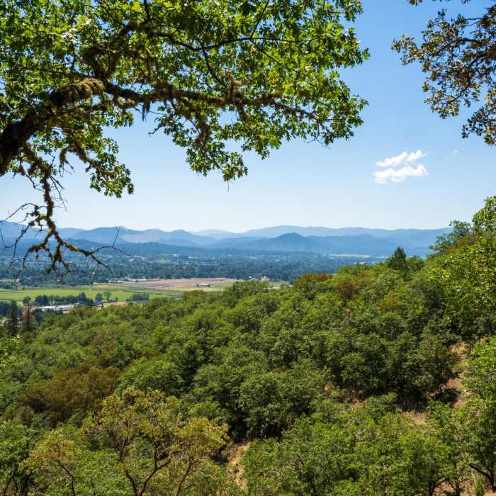 Near Dollar Mountain