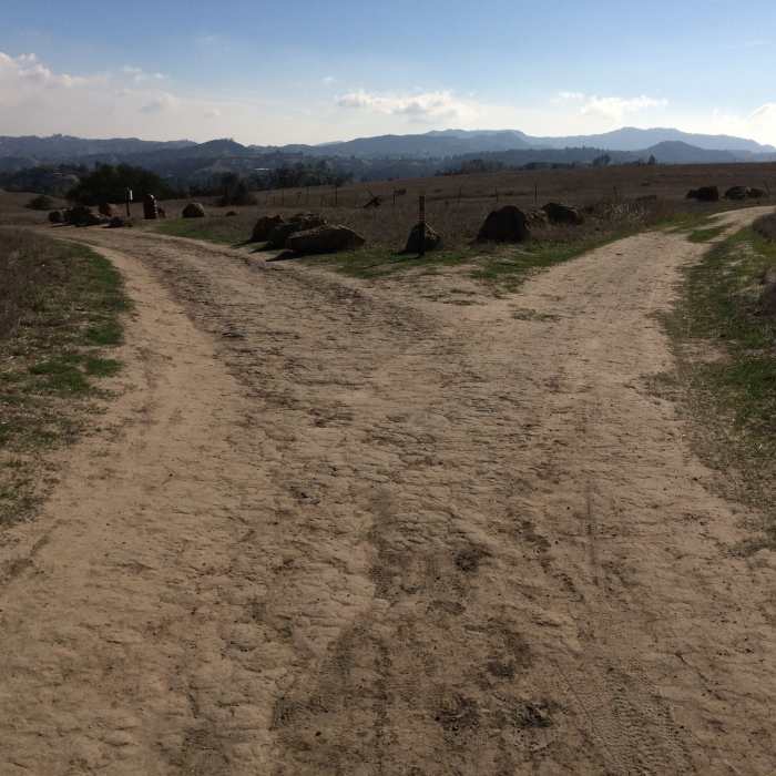 Near Mary Weisbrock Loop Trail