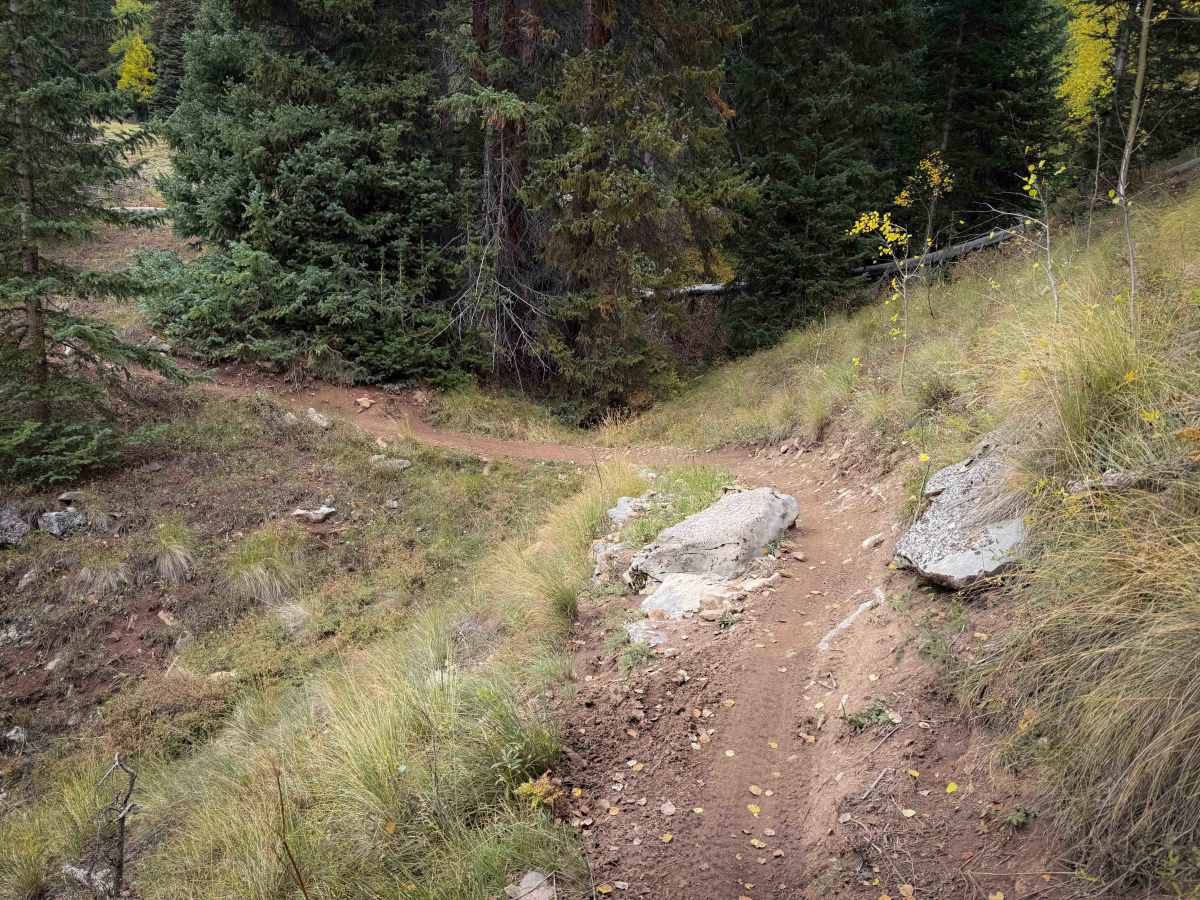 Doubletop Walrod Spur Trail 405.2A photo 5