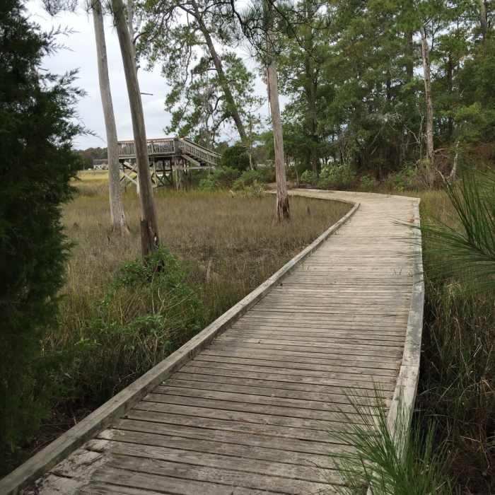 Near White Hill Lake Trail