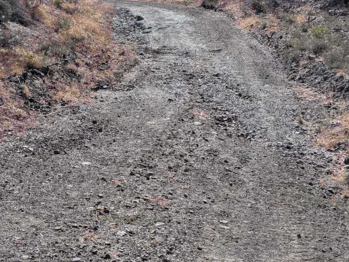 North Fork Smokey Creek Road - FS 29N48  photo 3