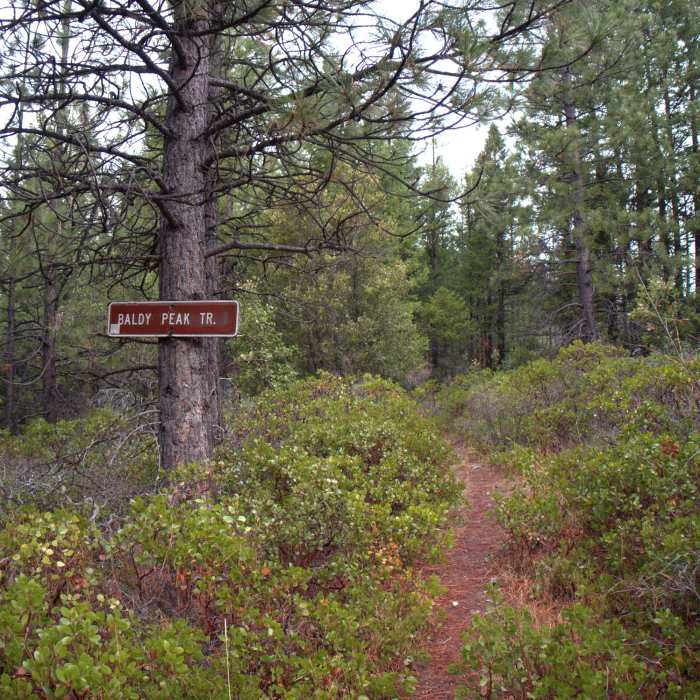 The southern trailhead of the #918 trail Near Mule Creek Trail #920