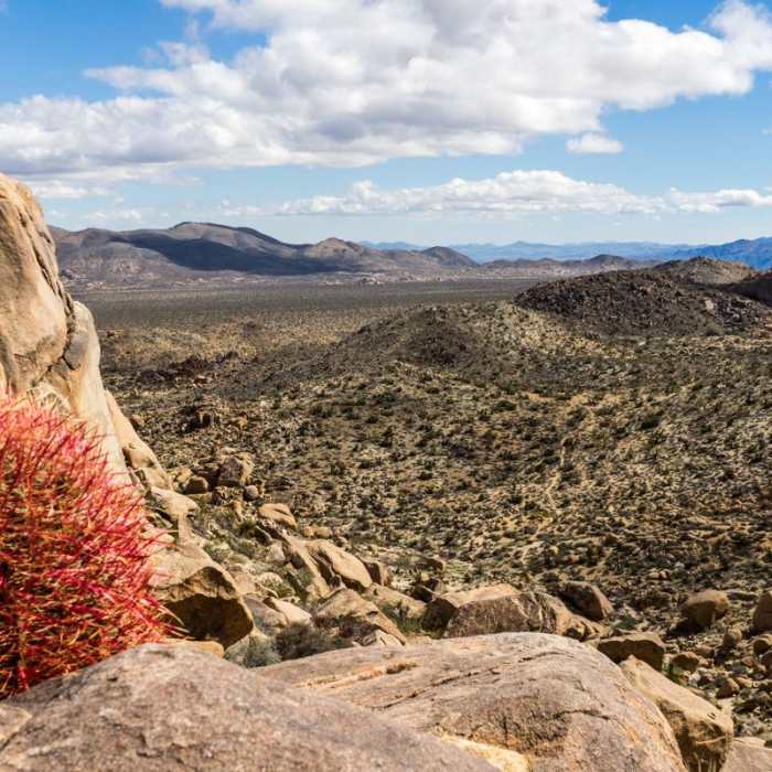 Near Eagle Cliff Mine Hike