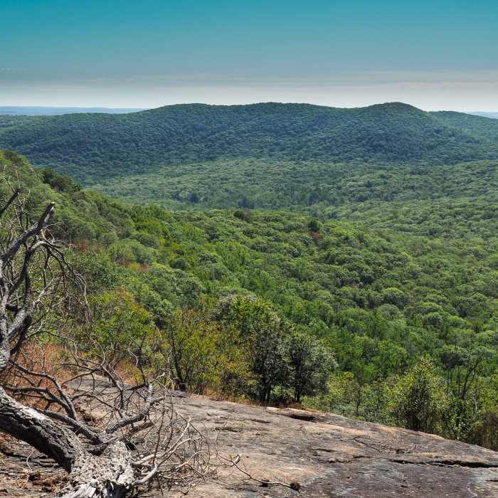 Near Bear Mountain Loop