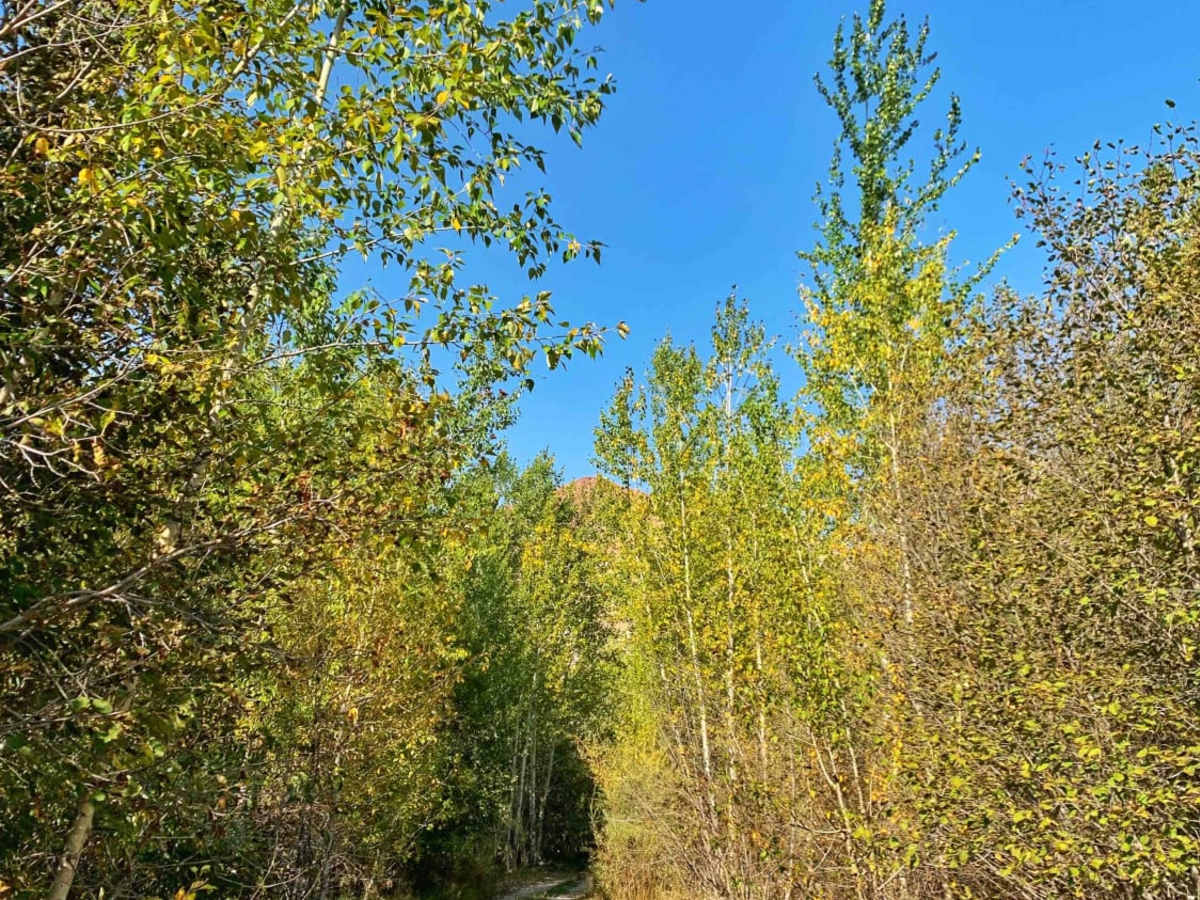 Pennal Gulch River Access photo 3