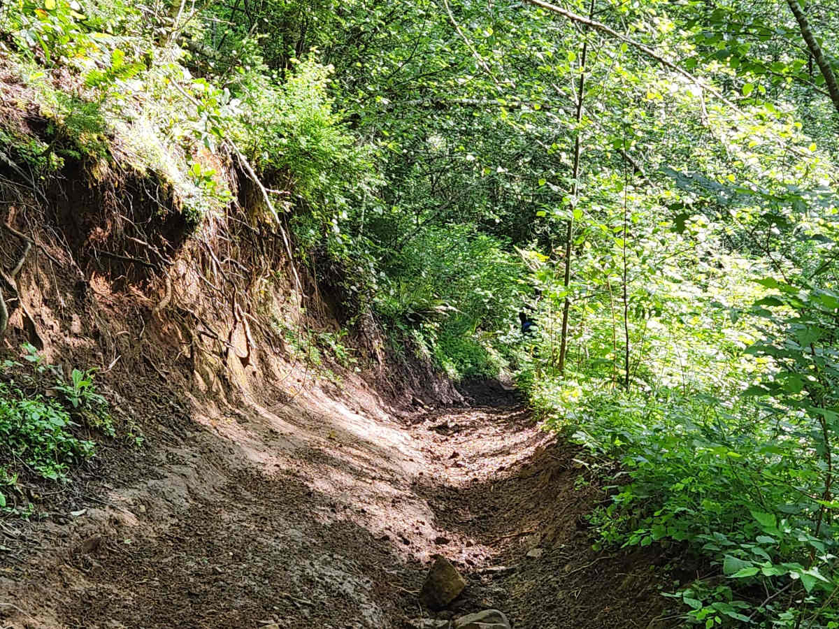 Divide Trail South photo 4