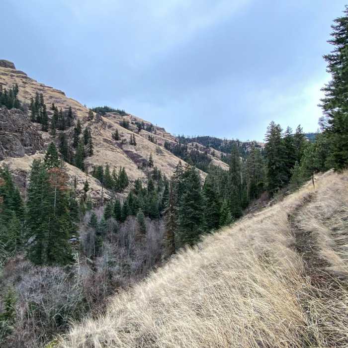 Near Asotin Cr., S. Pinkham, N. Pinkham Loop