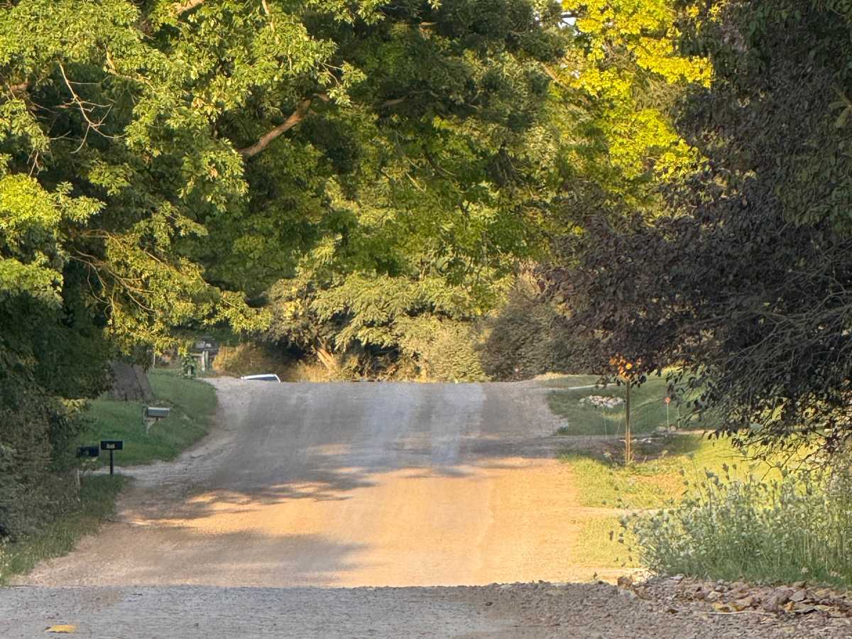 East Schafer Trail trail photo