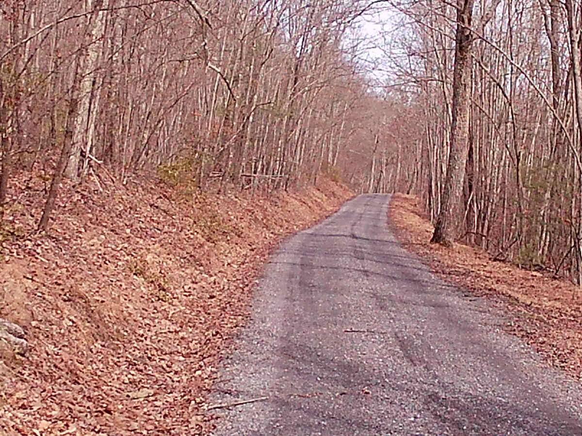 Yarison Road photo 6
