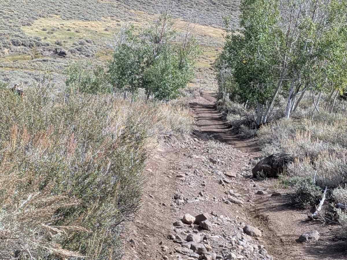 Cottonwood Meadows Road - FS 32106 photo 4
