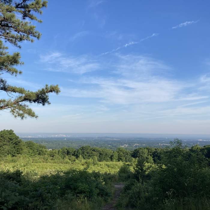 Lookout Mt Summit. Near Shenipsit Trail